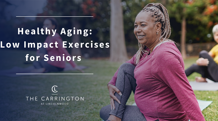 Healthy Aging low impact exercises for seniors