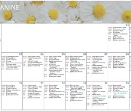 Page 1 of a “Mezzanine” activities calendar for May 2026 with a wide daisy flower header across the top and a clean monthly grid beginning on Friday, May 1 and continuing through Saturday, May 16. A left sidebar lists “Dimensions of Wellness” with color-coded categories for Fitness, Emotional, Spiritual, Environmental, Vocational, Social, Intellectual, Health Services, Nutritional and Purposeful. The first weekend is labeled “April Showers Week,” followed by “May Flowers Week” and then “Nurse Week.” Daily activities include New Music Friday, Daily Chronicle, trivia, craft corner, rain karaoke, Carrington Community Church, moving for mobility, one-on-one visits, Sit and Be Fit, music therapy with Matt, dancing with Martha, chair yoga, Jewish services with Rabbi Levi, drumming with Francesca, gardening club, picture bingo with flowers, white board word games, paint along with flowers, flower karaoke, flower planting, Maggie the Therapy Dog, Zumba and laughter yoga with Janette, Rock Steady Boxing, Songs by Heart, monthly birthday bash with the Vince Micari Trio, and Hotsie Totsie concert listings. The design is text-heavy and organized as a day-by-day enrichment schedule for mezzanine residents.
