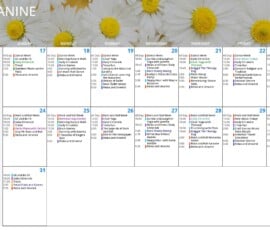Page 2 of the May 2026 “Mezzanine” activities calendar with the same daisy flower header and a large gray note on the left that reads, “All activities are subject to change. Please refer to the daily calendar for the most up to date schedule.” This page covers May 17 through May 31. The week of May 17 is labeled “Dance Week,” and the final week is labeled “Rock and Roll Week.” Activities throughout the page include Sit and Be Fit, Daily Chronicle, trivia, brain games, dancing with Martha, animals that dance, outings to the botanical gardens, dance-themed learning, history of ballet, basic ballet moves, Zumba and laughter yoga with Janette, News and Views, Rock Steady Boxing, birthday party celebrations, happy hours with Wayne Messmer and Carla Gordon, chair yoga with Therese, Maggie the Therapy Dog, paint along, reminiscence dance halls, dance in religion and tradition, unforgettable dance performances, memorial day service, sing fit rock and roll, legends of rock and roll, Elvis in the newspaper, drumming with Chris, rock and roll memories game, rock and roll karaoke, music note craft corner, armchair travel to Graceland, and a movie matinee themed around “La Bamba.” The final day, May 31, includes Sit and Be Fit, Daily Chronicle, trivia, patio chats and games, and relax and unwind.